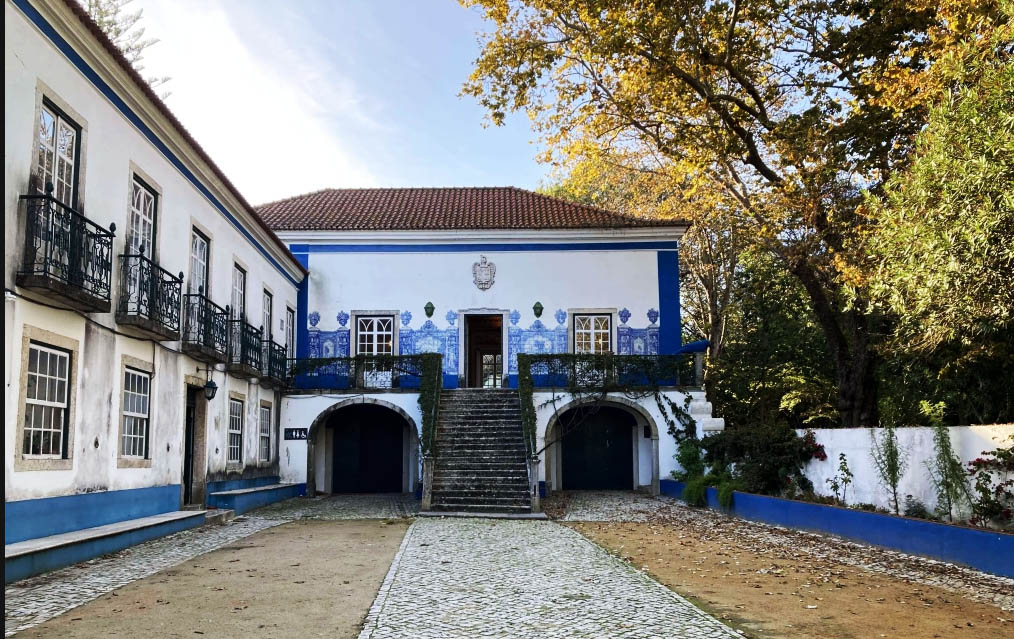 arte no solar dos zagallos